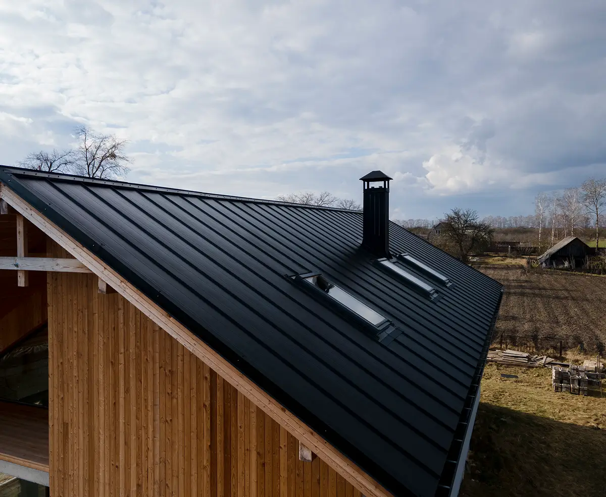 Modern wood-clad house with a sleek black metal roof, featuring skylights and a chimney. Set against a cloudy sky and rural landscape.